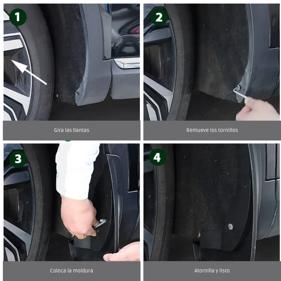 Loderas Para BYD Dolphin Mini